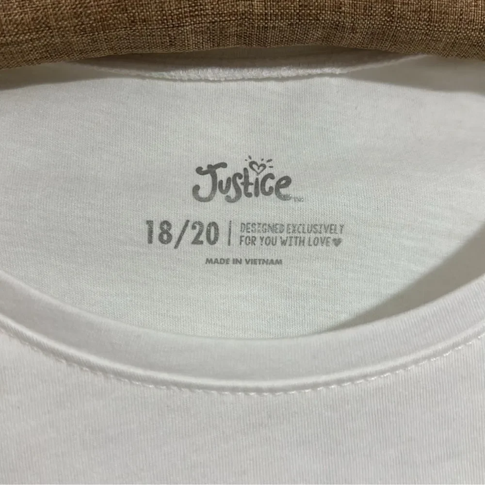 Justice no flaws
